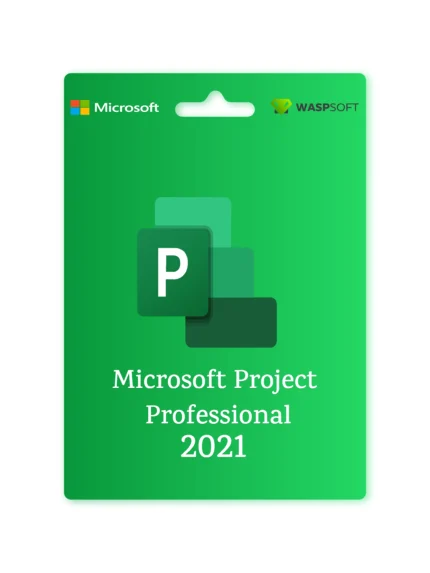 Microsoft Project 2021 Professional