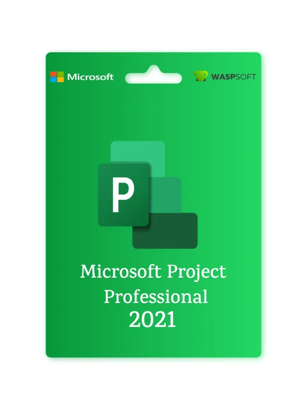 Microsoft Project 2021 Professional